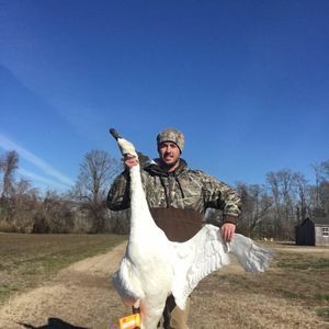 Meet your Posher, Conner